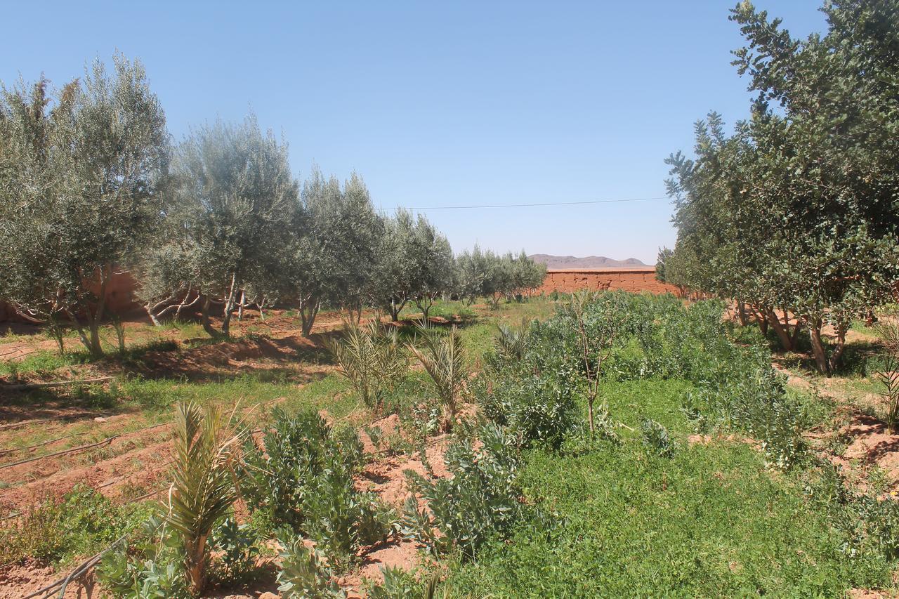 Dar Alfourssane Ferme d’hôte Ouarzazate Extérieur photo