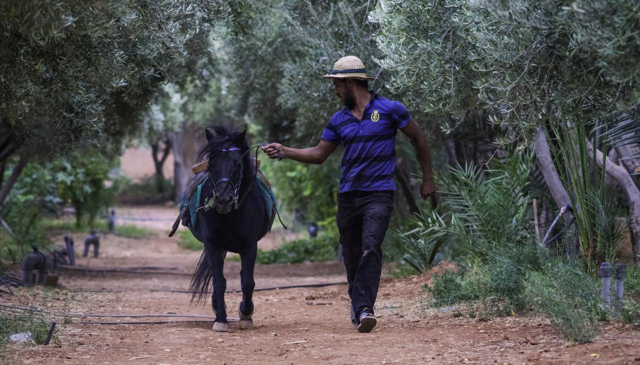 Dar Alfourssane Ferme d’hôte Ouarzazate Extérieur photo
