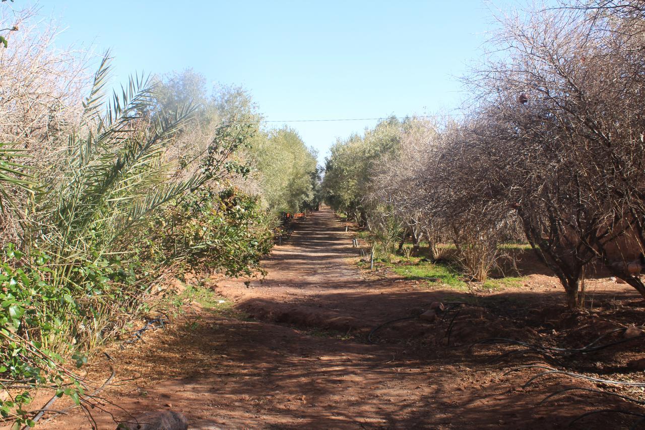 Dar Alfourssane Ferme d’hôte Ouarzazate Extérieur photo